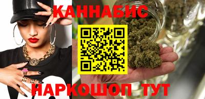 индика Нальчик