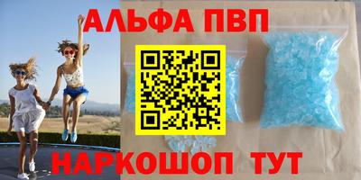 индика Нальчик