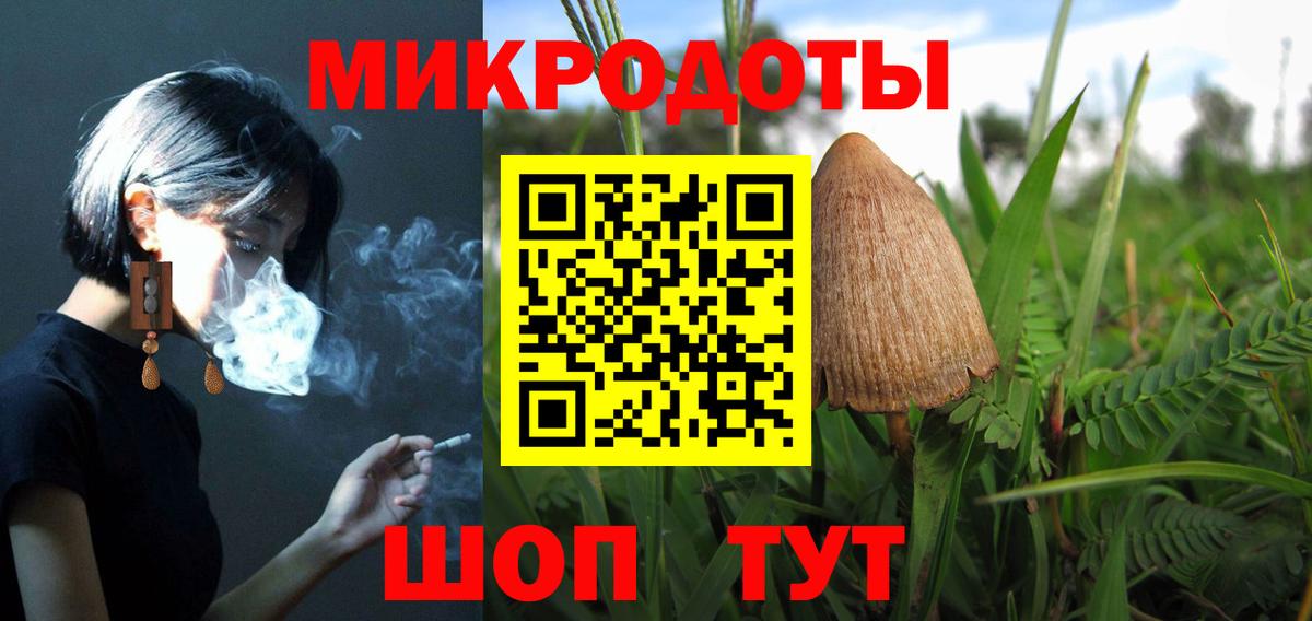 Белореченск  Псилоцибиновые грибы прущие грибы  Вход с VPN  Псилоцибиновые грибы Psilocybe 